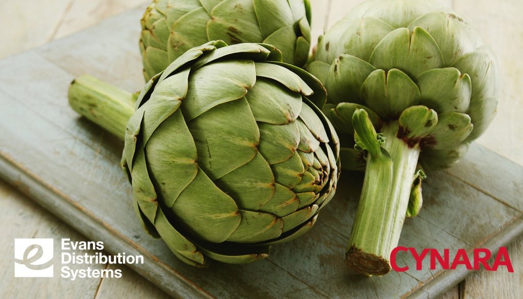 Artichokes with the Evans Distribution Systems and Cynara logos.
